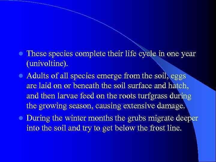 These species complete their life cycle in one year (univoltine). l Adults of all