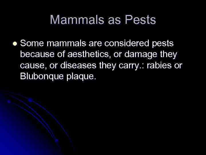 Mammals as Pests l Some mammals are considered pests because of aesthetics, or damage
