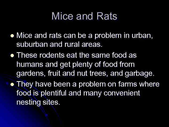 Mice and Rats Mice and rats can be a problem in urban, suburban and