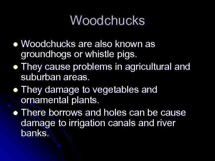Woodchucks are also known as groundhogs or whistle pigs. l They cause problems in
