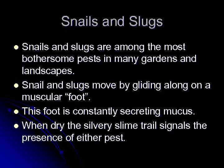 Snails and Slugs Snails and slugs are among the most bothersome pests in many