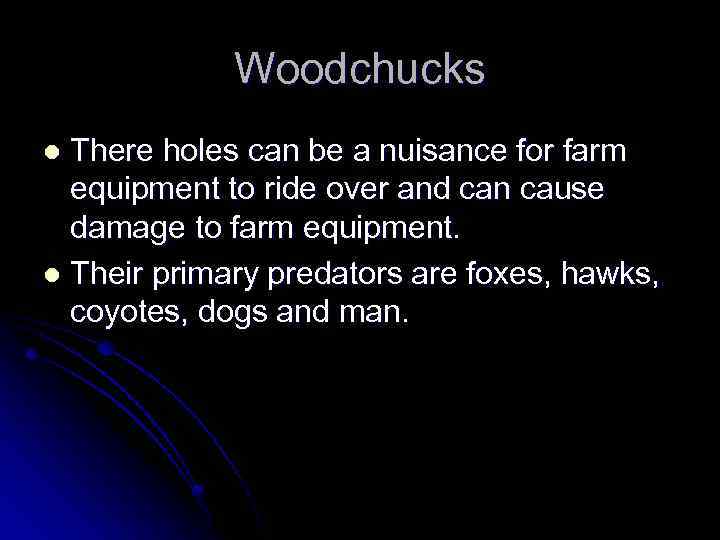 Woodchucks There holes can be a nuisance for farm equipment to ride over and