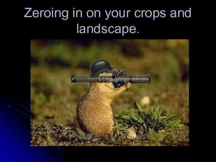 Zeroing in on your crops and landscape. 