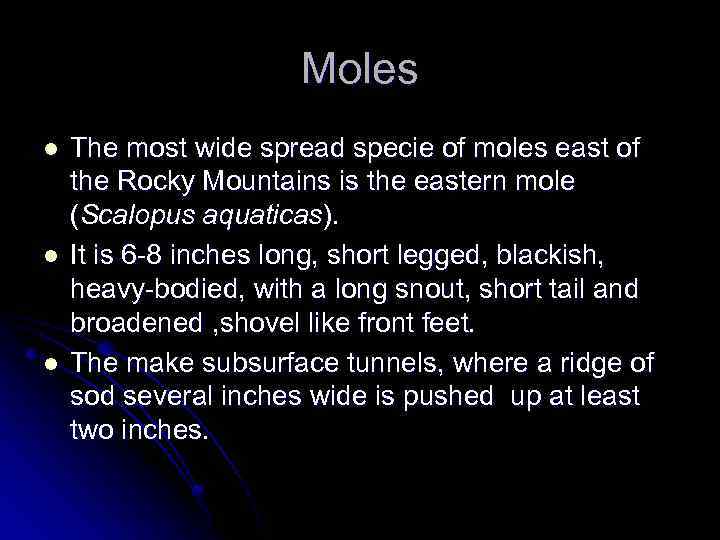 Moles l l l The most wide spread specie of moles east of the