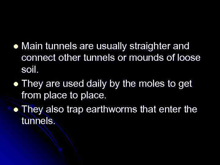 Main tunnels are usually straighter and connect other tunnels or mounds of loose soil.