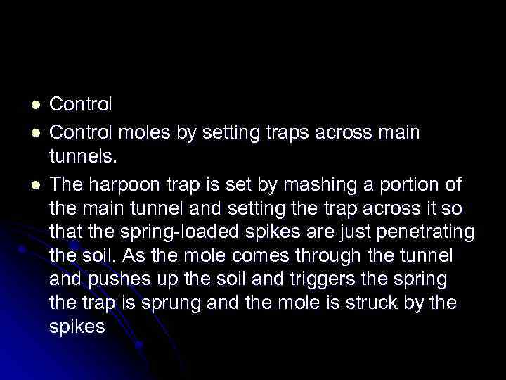 l l l Control moles by setting traps across main tunnels. The harpoon trap