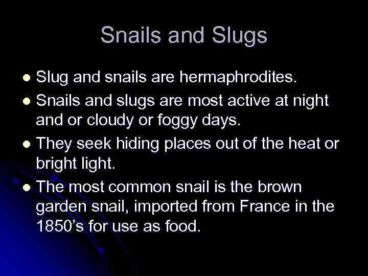 Snails and Slugs Slug and snails are hermaphrodites. l Snails and slugs are most