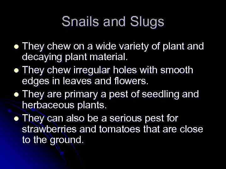 Snails and Slugs They chew on a wide variety of plant and decaying plant