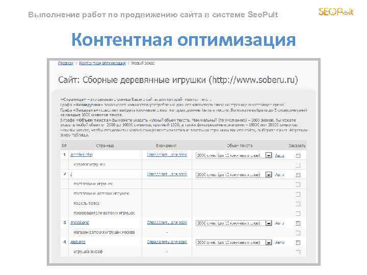 Выполнение работ по продвижению сайта в системе Seo. Pult Контентная оптимизация 