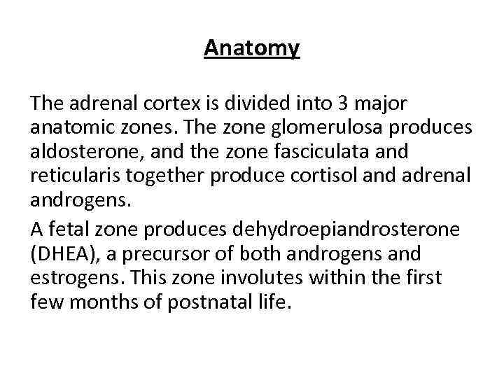 Anatomy The adrenal cortex is divided into 3 major anatomic zones. The zone glomerulosa