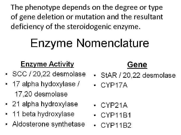 The phenotype depends on the degree or type of gene deletion or mutation and