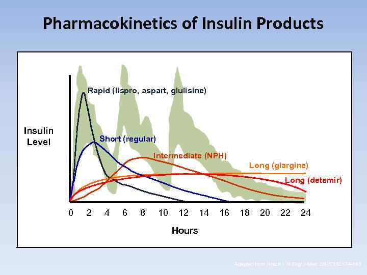 Pharmacokinetics of Insulin Products Rapid (lispro, aspart, glulisine) Insulin Level Short (regular) Intermediate (NPH)