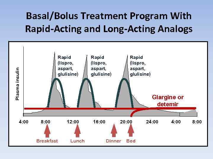 Basal/Bolus Treatment Program With Rapid-Acting and Long-Acting Analogs Plasma insulin Rapid (lispro, aspart, glulisine)