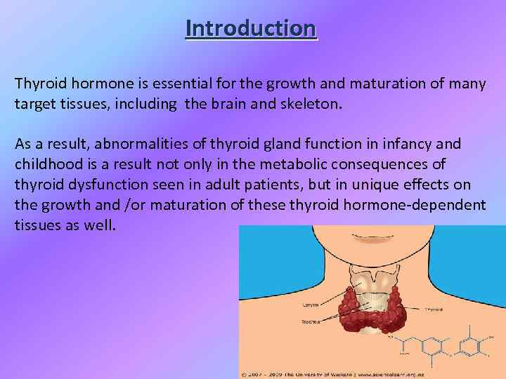 Introduction Thyroid hormone is essential for the growth and maturation of many target tissues,