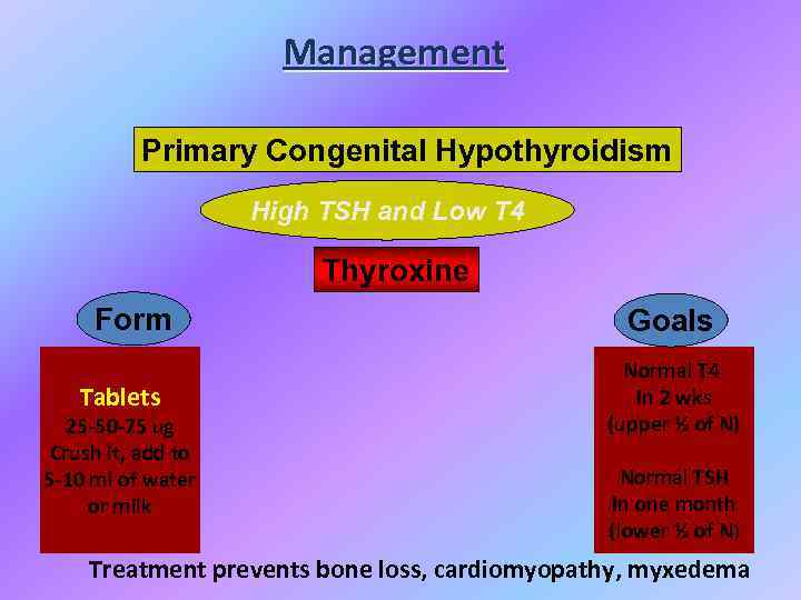 Management Primary Congenital Hypothyroidism High TSH and Low T 4 Thyroxine Form Tablets 25