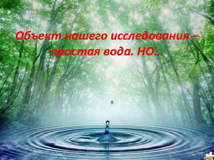 Объект нашего исследования – простая вода. НО… 