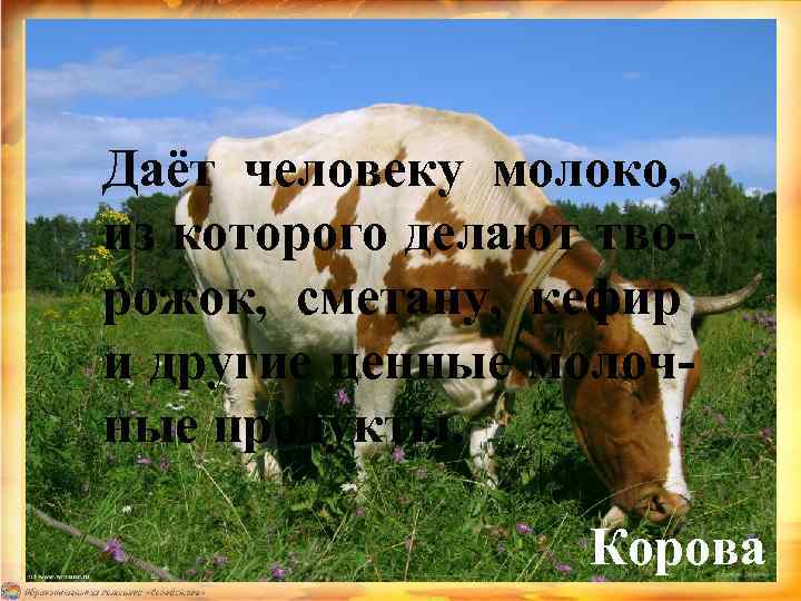 Даёт человеку молоко, из которого делают творожок, сметану, кефир и другие ценные молочные продукты.