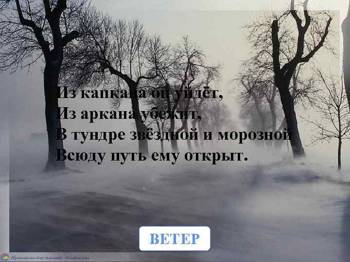 Из капкана он уйдёт, Из аркана убежит, В тундре звёздной и морозной Всюду путь