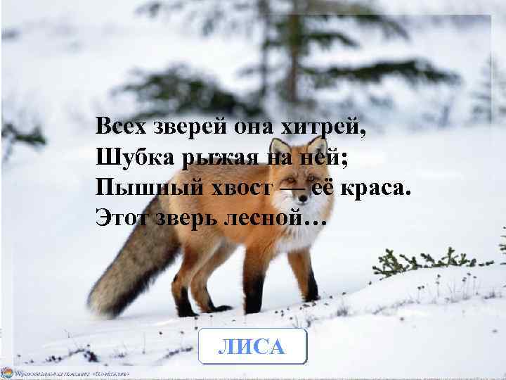 Всех зверей она хитрей, Шубка рыжая на ней; Пышный хвост — её краса. Этот