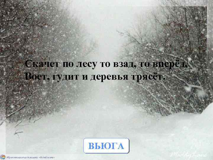 Скачет по лесу то взад, то вперёд, Воет, гудит и деревья трясёт. ВЬЮГА 