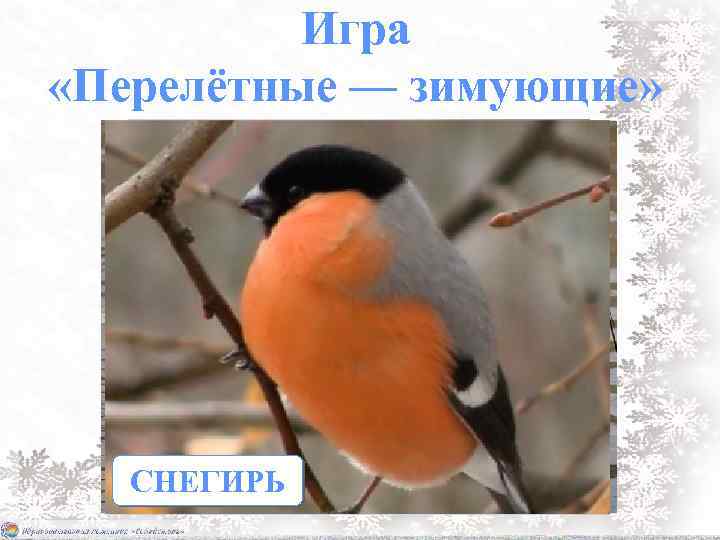 Игра «Перелётные — зимующие» СВИРИСТЕЛЬ СОРОКА СОВА СНЕГИРЬ КЛЁСТ ЛАСТОЧКА АИСТ ЖУРАВЛЬ ВОРОНА ЖАВОРОНОК