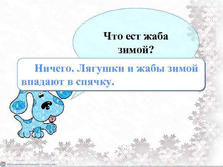 Что ест жаба зимой? Ничего. Лягушки и жабы зимой впадают в спячку. 