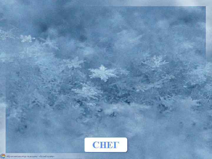 Живёт — лежит, Умрёт — побежит. СНЕГ 