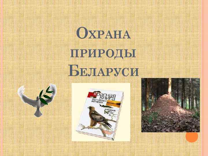 ОХРАНА ПРИРОДЫ БЕЛАРУСИ 