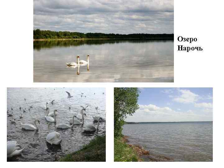 Озеро Нарочь 