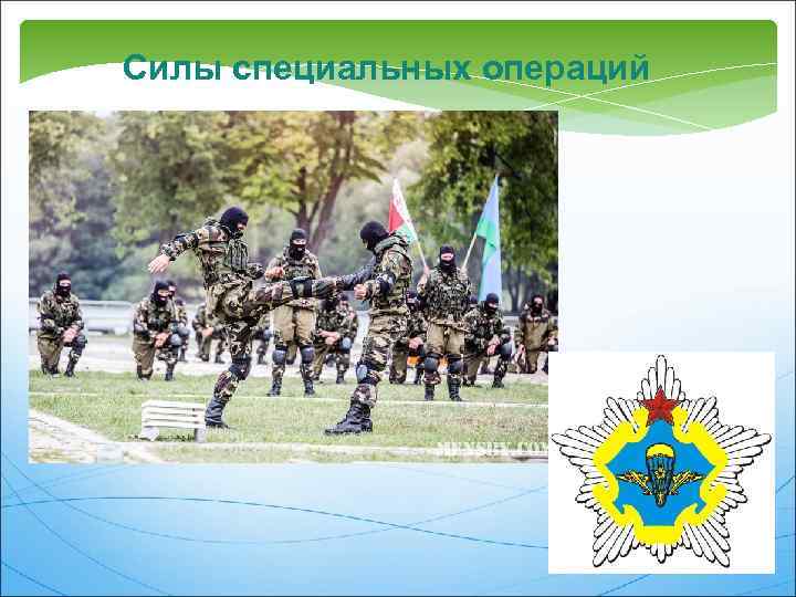 Силы специальных операций 