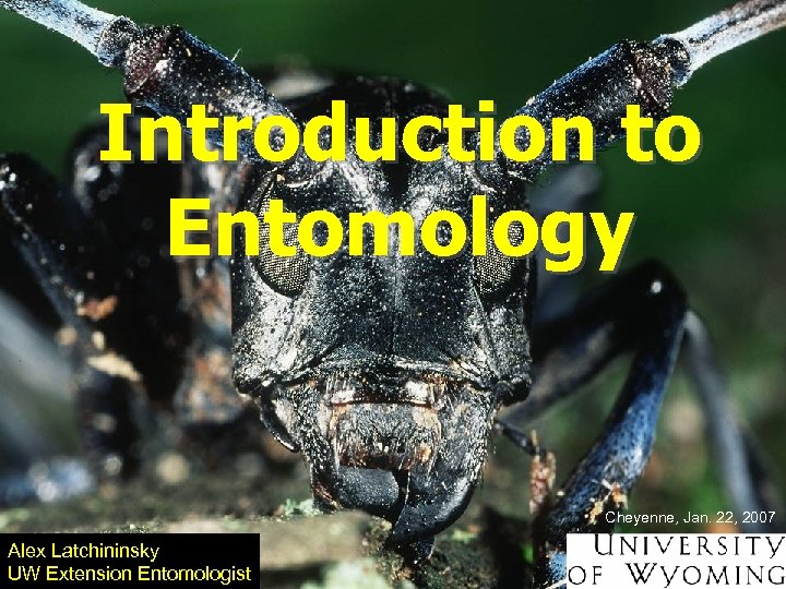 Introduction to Entomology Cheyenne, Jan. 22, 2007 Alex Latchininsky UW Extension Entomologist 