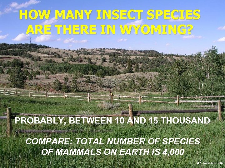 HOW MANY INSECT SPECIES ARE THERE IN WYOMING? PROBABLY, BETWEEN 10 AND 15 THOUSAND