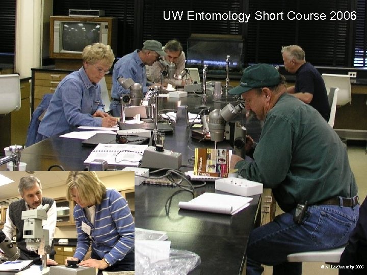 UW Entomology Short Course 2006 © A. Latchininsky 2006 