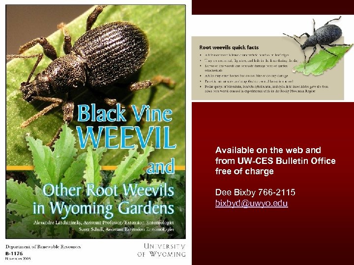 Available on the web and from UW-CES Bulletin Office free of charge Dee Bixby