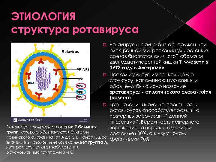 ЭТИОЛОГИЯ структура ротавируса Ротавирус впервые был обнаружен при электронной микроскопии ультратонких срезов биоптатов слизистой