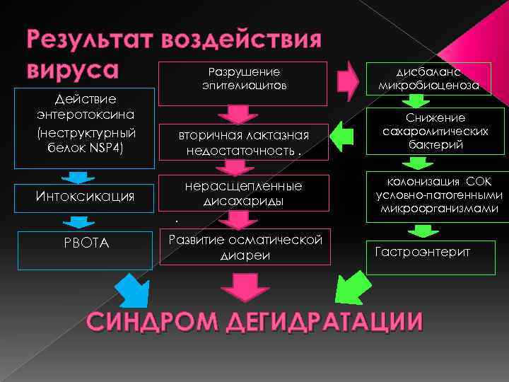 Результат воздействия Разрушение вируса эпителиоцитов Действие энтеротоксина (неструктурный белок NSP 4) вторичная лактазная недостаточность.