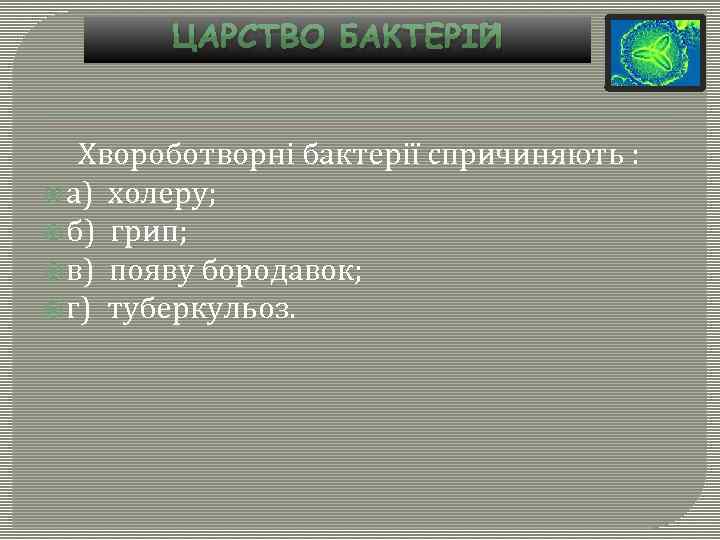 ЦАРСТВО БАКТЕРІЙ Хвороботворні бактерії спричиняють : а) холеру; б) грип; в) появу бородавок; г)