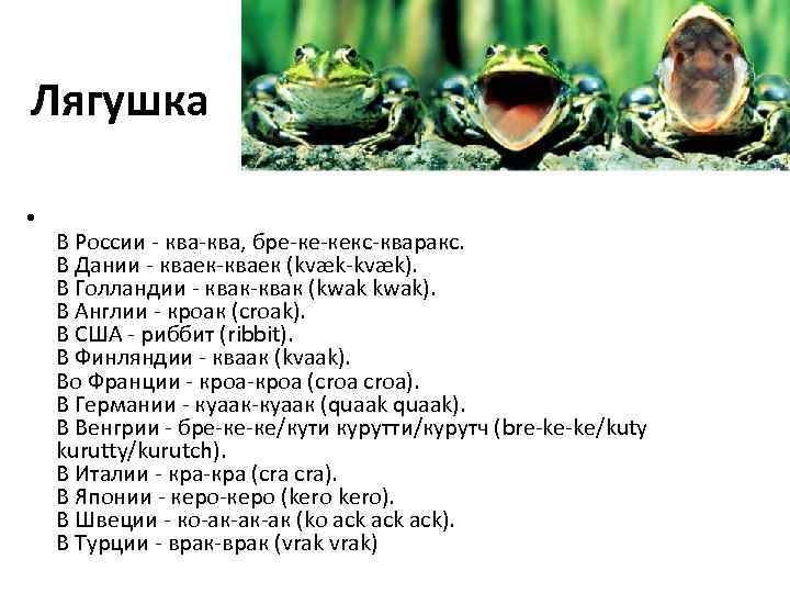Лягушка • В России - ква-ква, бре-ке-кекс-кваракс. В Дании - кваек-кваек (kvæk-kvæk). В Голландии