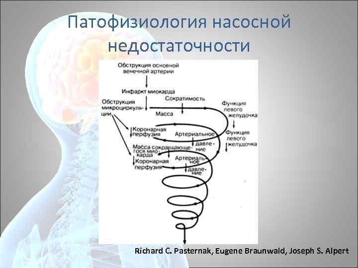 Патофизиология насосной недостаточности Richard С. Pasternak, Eugene Braunwald, Joseph S. Alpert 