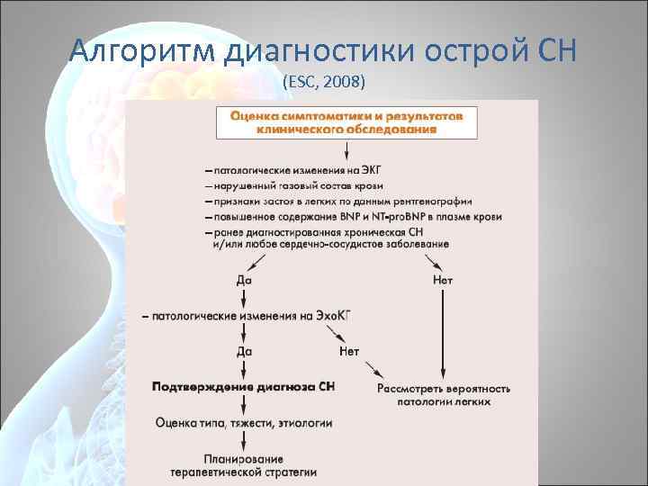 Алгоритм диагностики острой СН (ESC, 2008) 