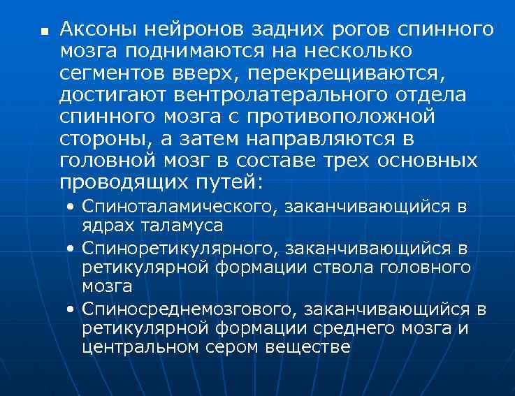 n Аксоны нейронов задних рогов спинного мозга поднимаются на несколько сегментов вверх, перекрещиваются, достигают