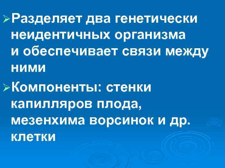 ØРазделяет два генетически неидентичных организма и обеспечивает связи между ними ØКомпоненты: стенки капилляров плода,