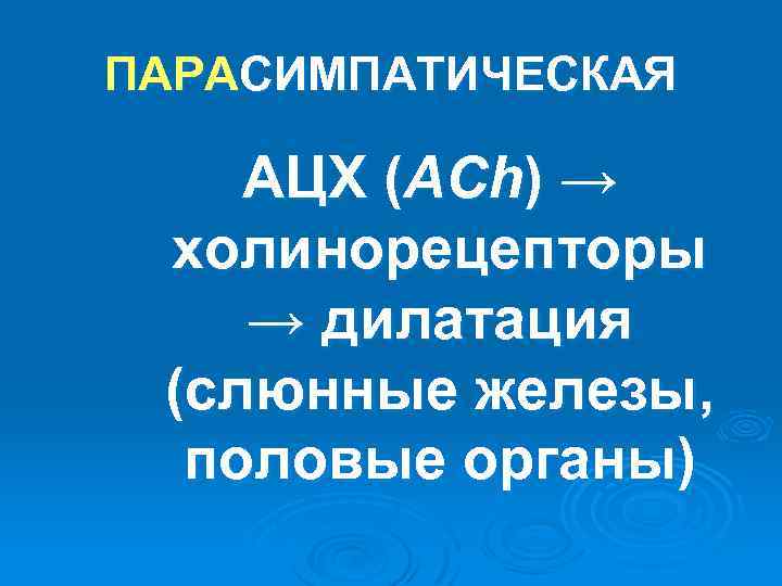 ПАРАСИМПАТИЧЕСКАЯ АЦХ (ACh) → холинорецепторы → дилатация (слюнные железы, половые органы) 