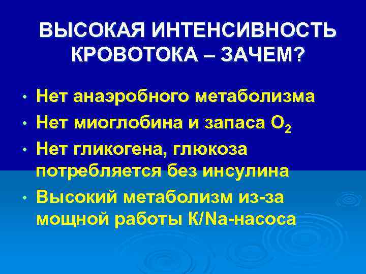 ВЫСОКАЯ ИНТЕНСИВНОСТЬ КРОВОТОКА – ЗАЧЕМ? • • Нет анаэробного метаболизма Нет миоглобина и запаса