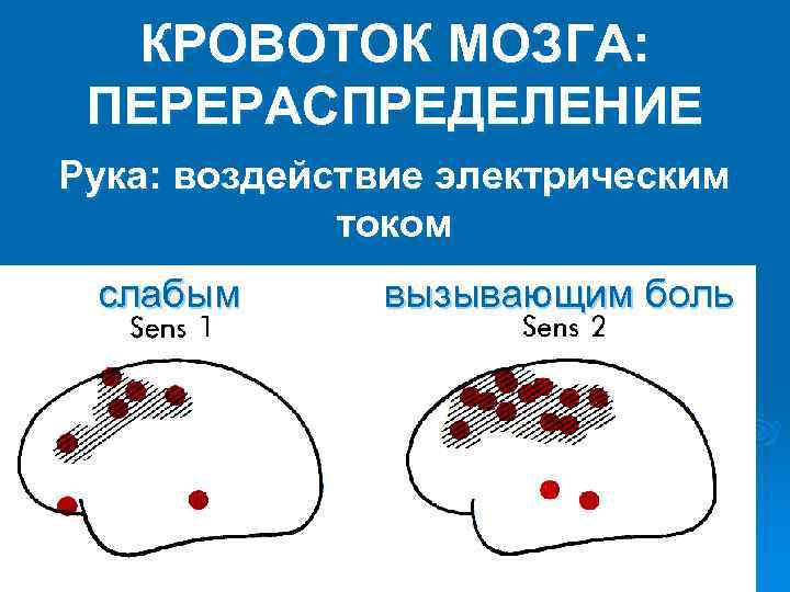КРОВОТОК МОЗГА: ПЕРЕРАСПРЕДЕЛЕНИЕ Рука: воздействие электрическим током слабым вызывающим боль 