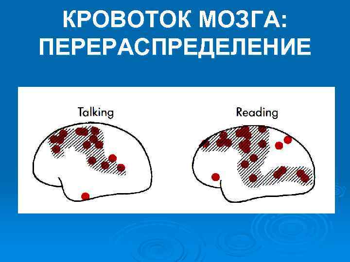 КРОВОТОК МОЗГА: ПЕРЕРАСПРЕДЕЛЕНИЕ 