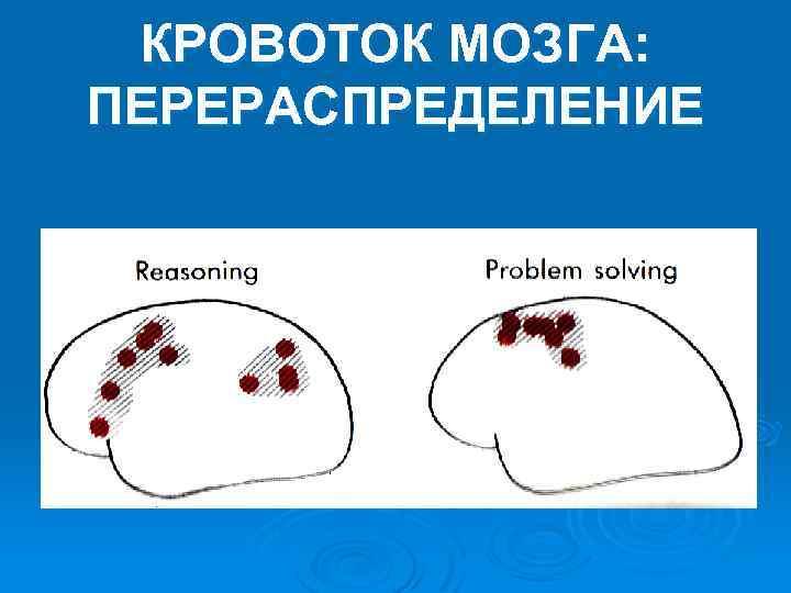 КРОВОТОК МОЗГА: ПЕРЕРАСПРЕДЕЛЕНИЕ 