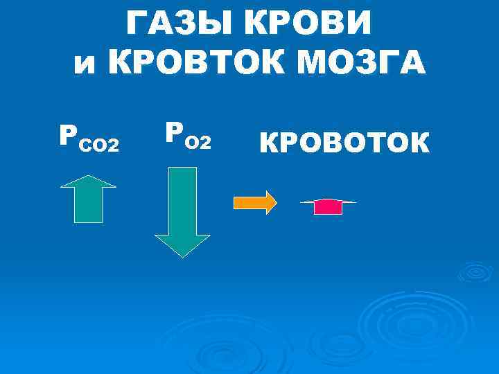 ГАЗЫ КРОВИ и КРОВТОК МОЗГА PCO 2 PO 2 КРОВОТОК 