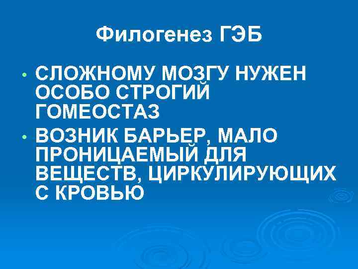 Филогенез ГЭБ СЛОЖНОМУ МОЗГУ НУЖЕН ОСОБО СТРОГИЙ ГОМЕОСТАЗ • ВОЗНИК БАРЬЕР, МАЛО ПРОНИЦАЕМЫЙ ДЛЯ