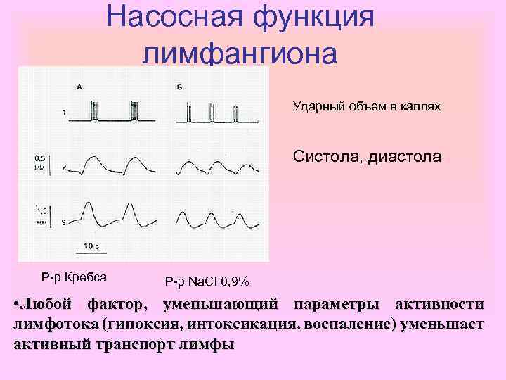 Насосная функция лимфангиона Ударный объем в каплях Систола, диастола Р-р Кребса Р-р Na. CI